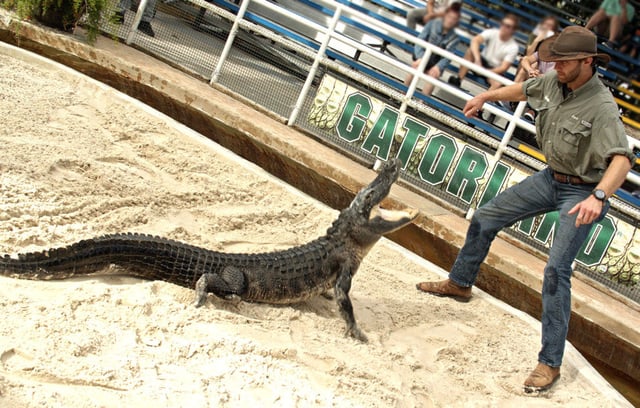 Gatorland